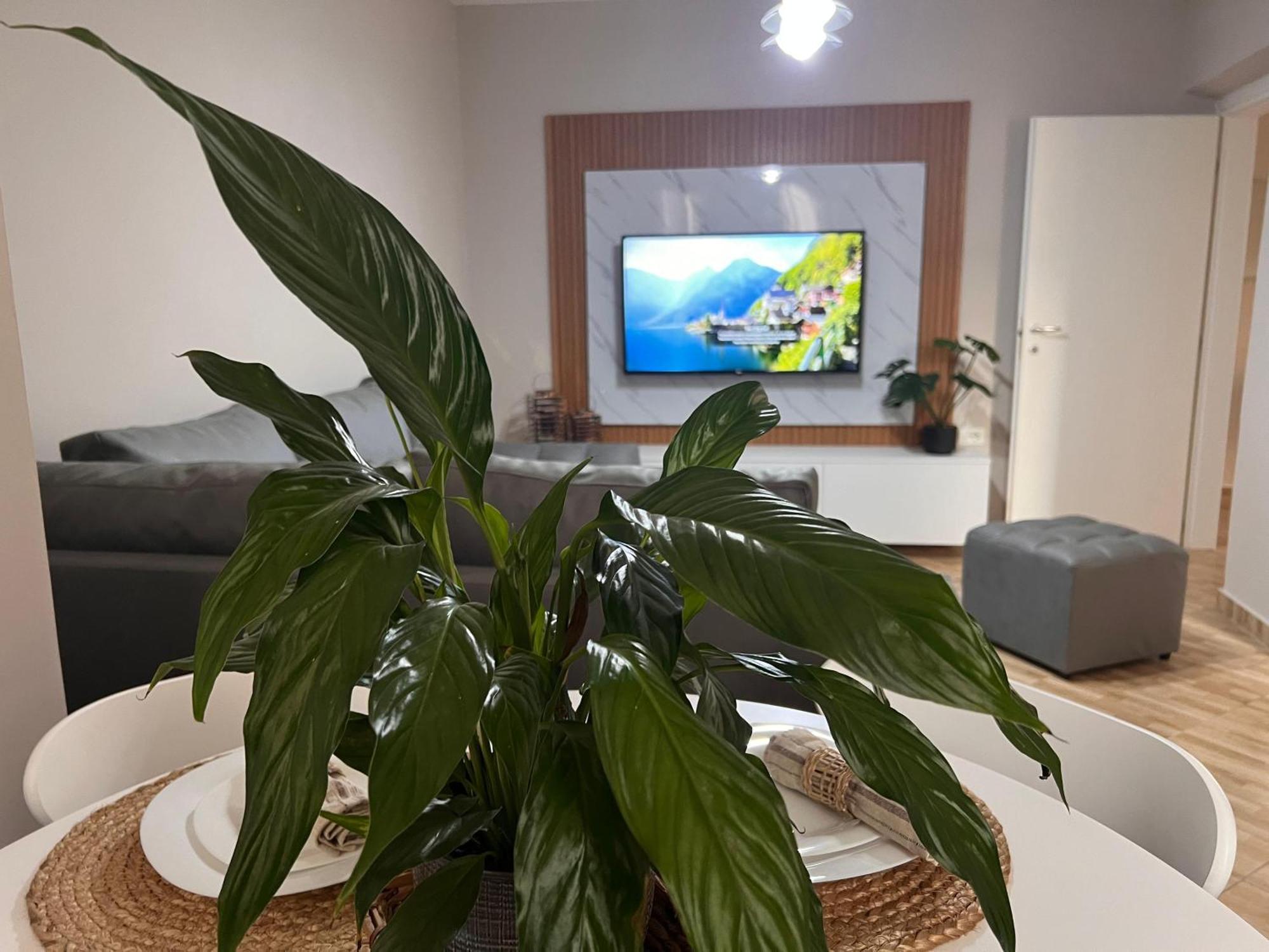 New Modern Tirana Apartment Εξωτερικό φωτογραφία